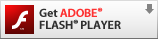 flash_player