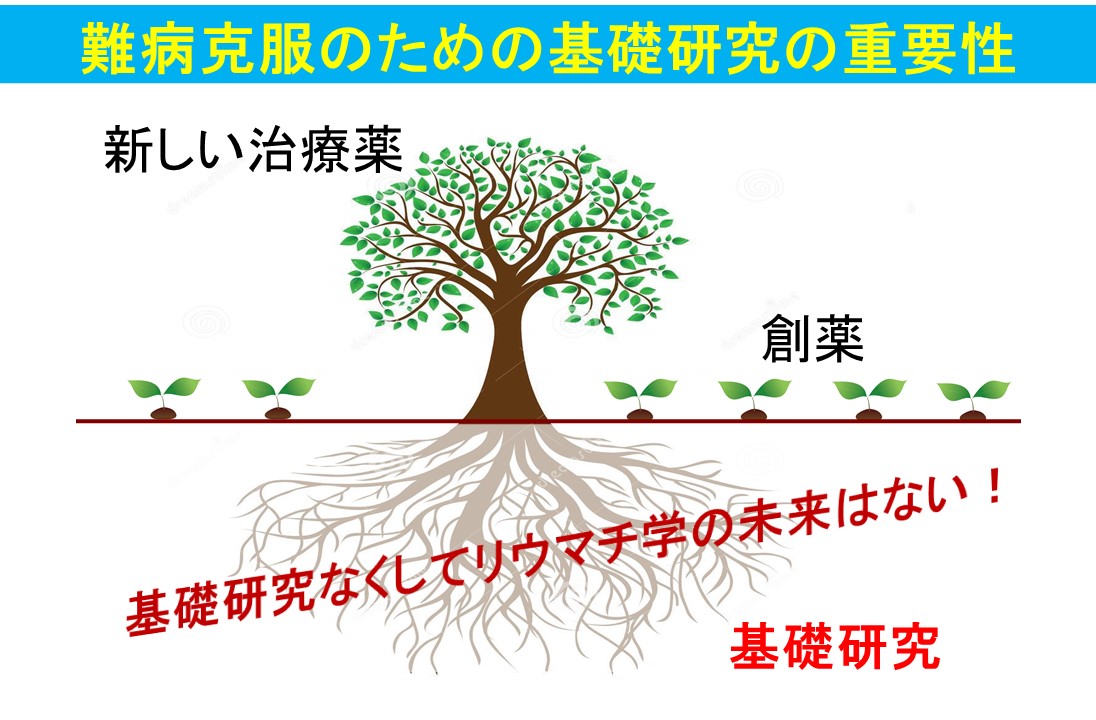 基礎研究の魅力　基礎研究の重要性