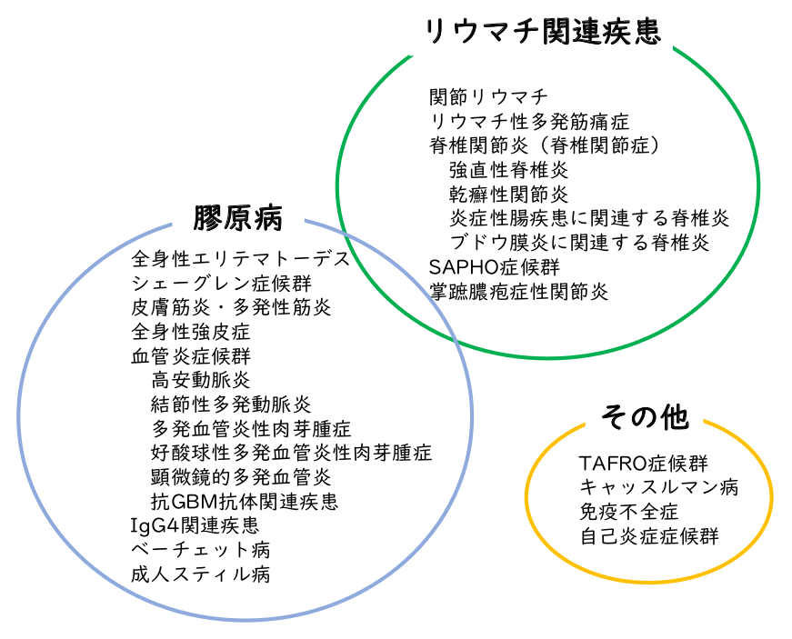 リウマチ科が担当する疾患